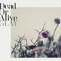 Dead Or Alive