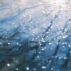 �t�@�[�X�g�L�X